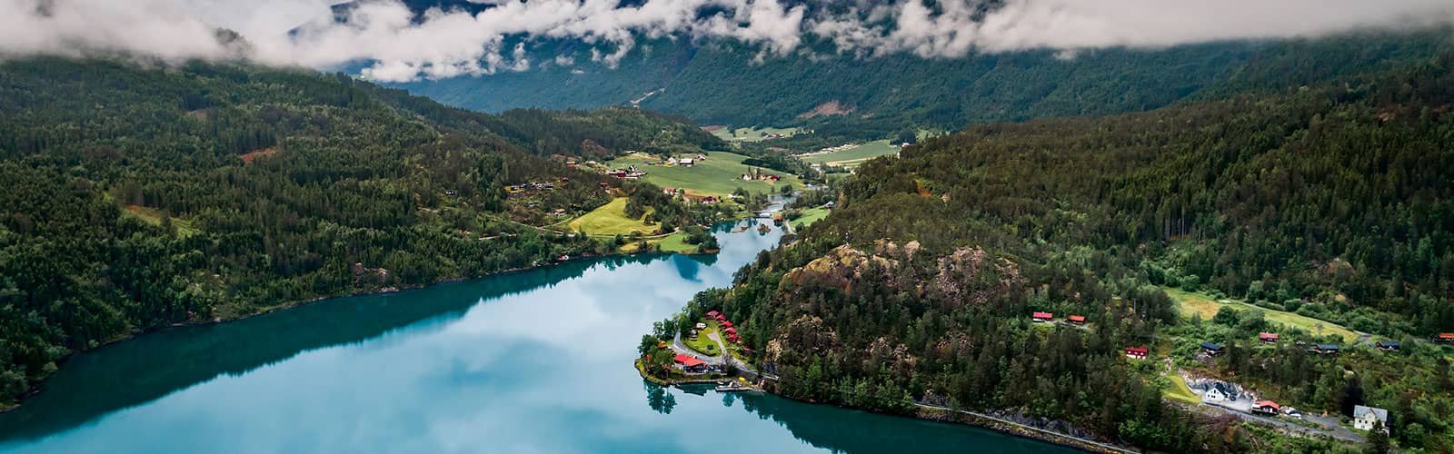 Balık Mikron Kaplama