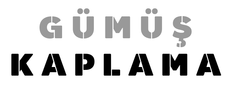 Balık Mikron Gümüş Kaplama